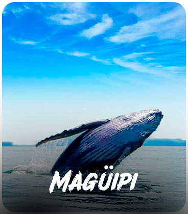 Maguipi
