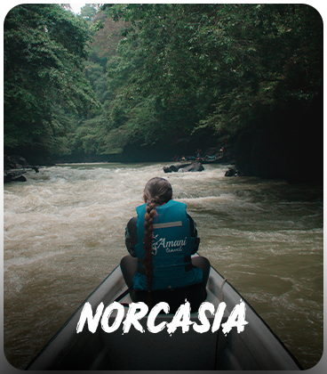 Norcasia
